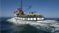 Trawler للبيع