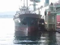 الناقل السائبة للبيع
