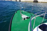 قارب طيار للبيع