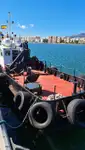 قوارب العمل للبيع