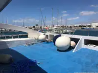 قارب مزدوج الهيكل للبيع