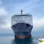 سفينة نقل بضائع بالمركبات (Ro-Ro) للبيع