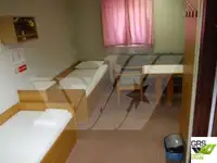 Ro-Ro ship للبيع