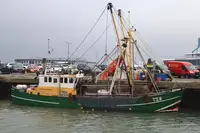 Trawler للبيع