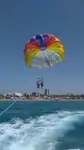 قاطعة للبيع