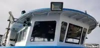 قارب مزدوج الهيكل للبيع