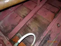 قاطعة للبيع