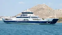 سفينة العبارة للبيع