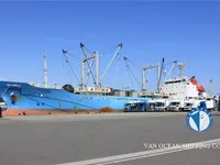 السفينة المبردة للبيع
