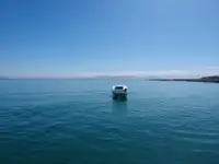 كاتاماران للبيع