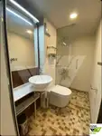 سفينة سياحية للبيع
