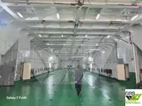 سفينة إنزال، ناقلة للبيع