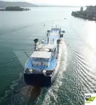 Ro-Ro ship للبيع