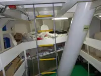 سفينة نقل بضائع سائبة للبيع