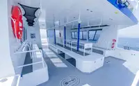 قارب مزدوج الهيكل للبيع