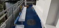 قارب مزدوج الهيكل للبيع
