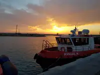 زوارق العمل للبيع