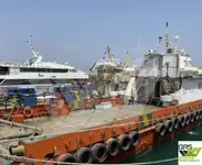 سفينة خدمات مزارع الرياح البحرية للبيع