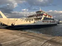 Ro-Ro ship للبيع