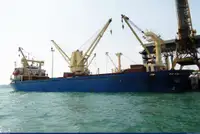 الناقل السائبة للبيع
