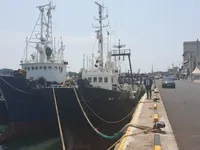 سفينة صيد بالجر للبيع