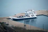 سفينة إنزال، ناقلة للبيع