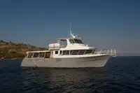سفينة العبارة للبيع