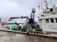 Trawler للبيع