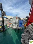 سفينة سحب للبيع