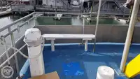 قارب مزدوج الهيكل للبيع