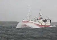 Trawler للبيع