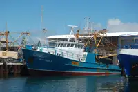 Trawler للبيع