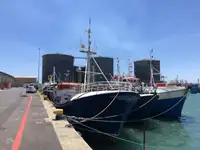 Longliner للبيع