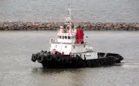زورق السحب للبيع