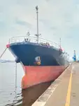 الناقل السائبة للبيع