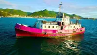 General Cargo/Multi-purpose للبيع