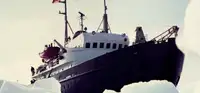 متعددة الأغراض للبيع