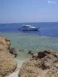دعم الغوص للبيع