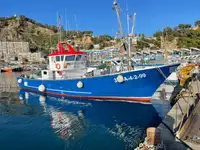 Trawler للبيع