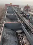الناقل السائبة للبيع