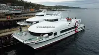 كاتاماران للبيع