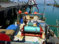 Trawler للبيع