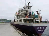 General Cargo/Multi-purpose للبيع