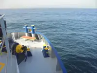 سفينة مبردة للبيع
