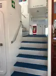 قارب مزدوج الهيكل للبيع