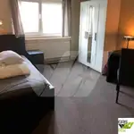 حافلة إقامة للبيع