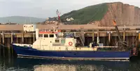 قوارب العمل للبيع
