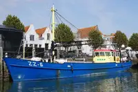 Trawler للبيع