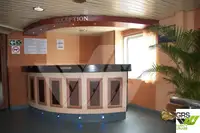 Ro-Ro ship للبيع