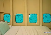 قارب مزدوج الهيكل للبيع